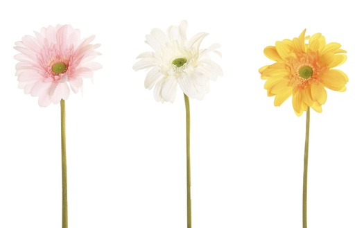 [99424] Flor de seda con tacto real, 3 diseños surtidos